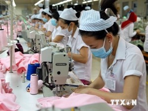Workers at Donaganex Company in Dong Nai Province (Photo: VNA) Workers at Donaganex Company in Dong Nai Province (Photo: VNA)